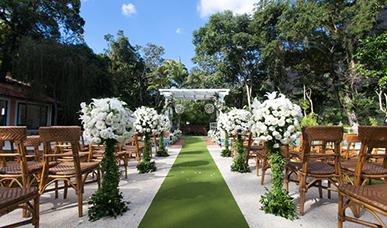 綠城一小時(shí)活動圓滿啟動